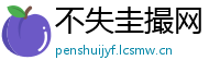 不失圭撮网